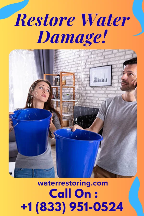 water restoration Priority Mitigation Inc Turbotville