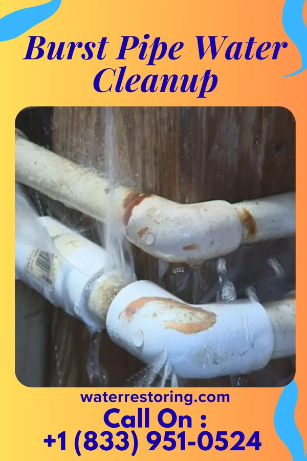 Burst Pipe Water Cleanup in Turbotville, PA