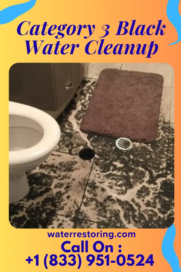 Category 3 Black Water Cleanup in Turbotville, PA