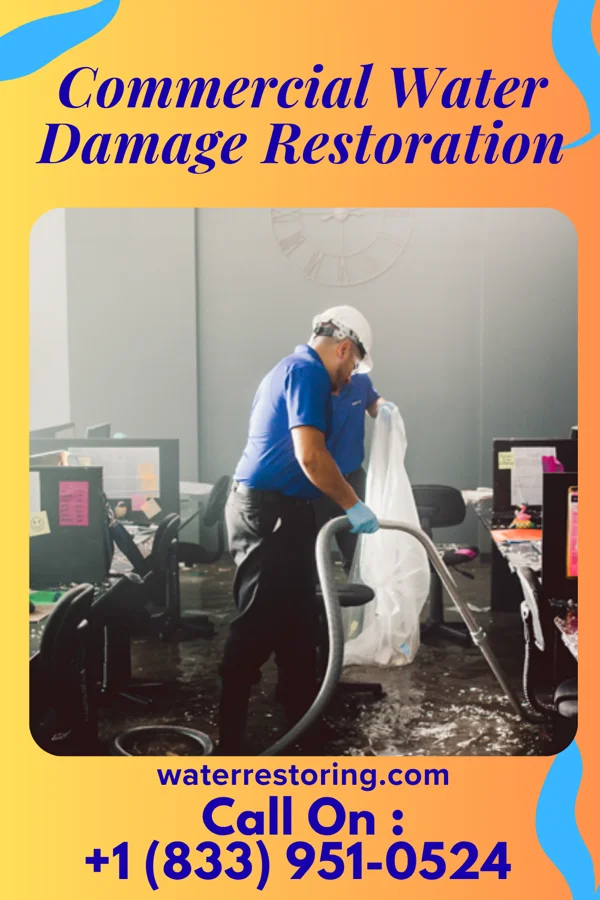 Commercial Water Damage Restoration in Turbotville, PA