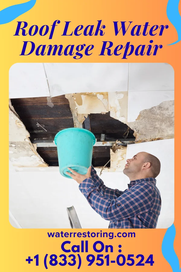 Roof Leak Water Damage Repair in Turbotville, PA