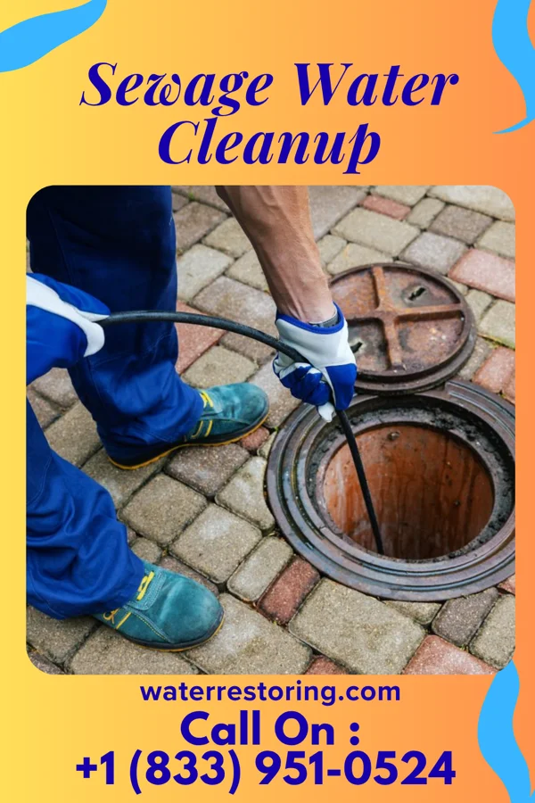 Sewage Water Cleanup in Turbotville, PA