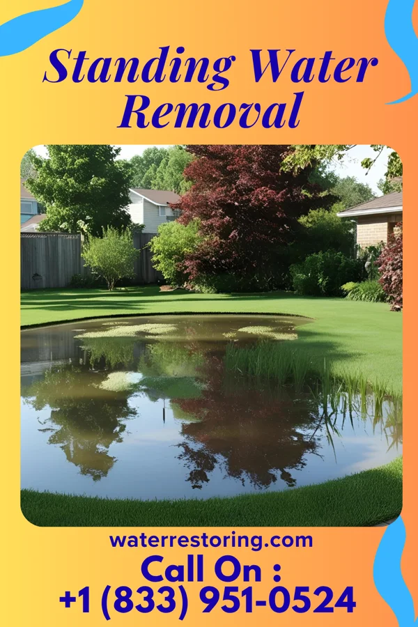 Standing Water Removal in Turbotville, PA
